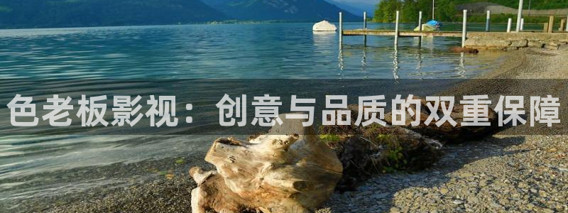 金桔檸檬做法視頻