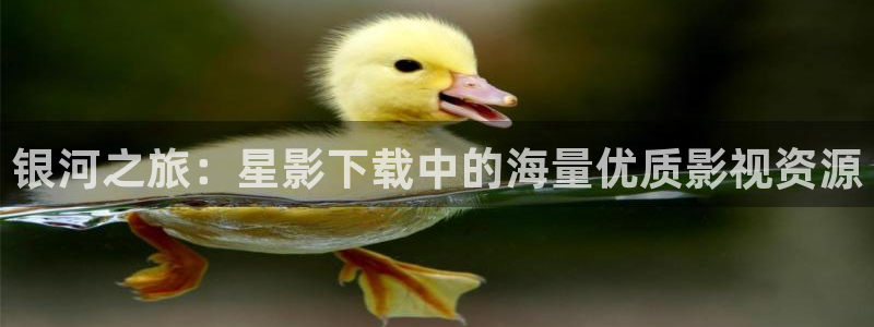 金桔影視哪里下載