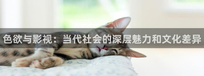 金桔視頻