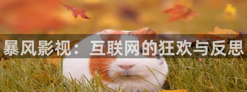 金桔 影視