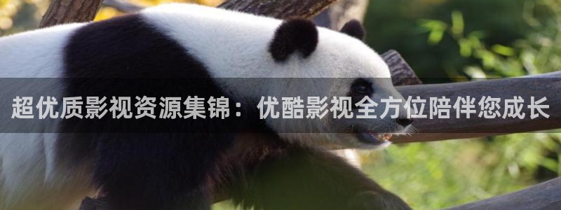 金桔直播視頻觀看