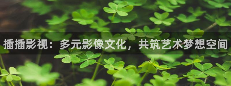 金桔檸檬汁視頻
